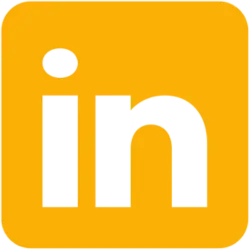 LinkedIn Ads icon