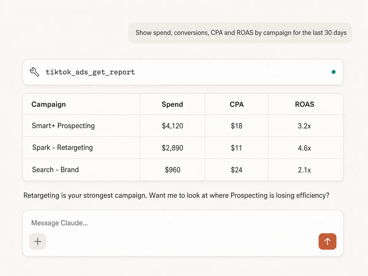 TikTok Ads performance report by campaign inside Claude, pulled through Markifact MCP